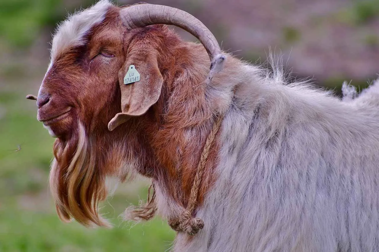 Gümüş Yüzüklerle Kombinlenebilecek 5 Şık Parça Gümüş Yüzüklerle Kombinlenebilecek 5 Şık Parça