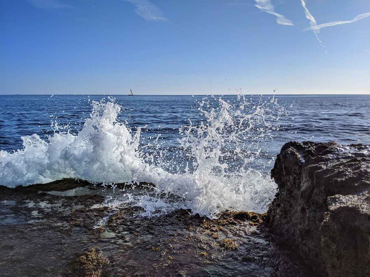 2. Tasarım Seçenekleri