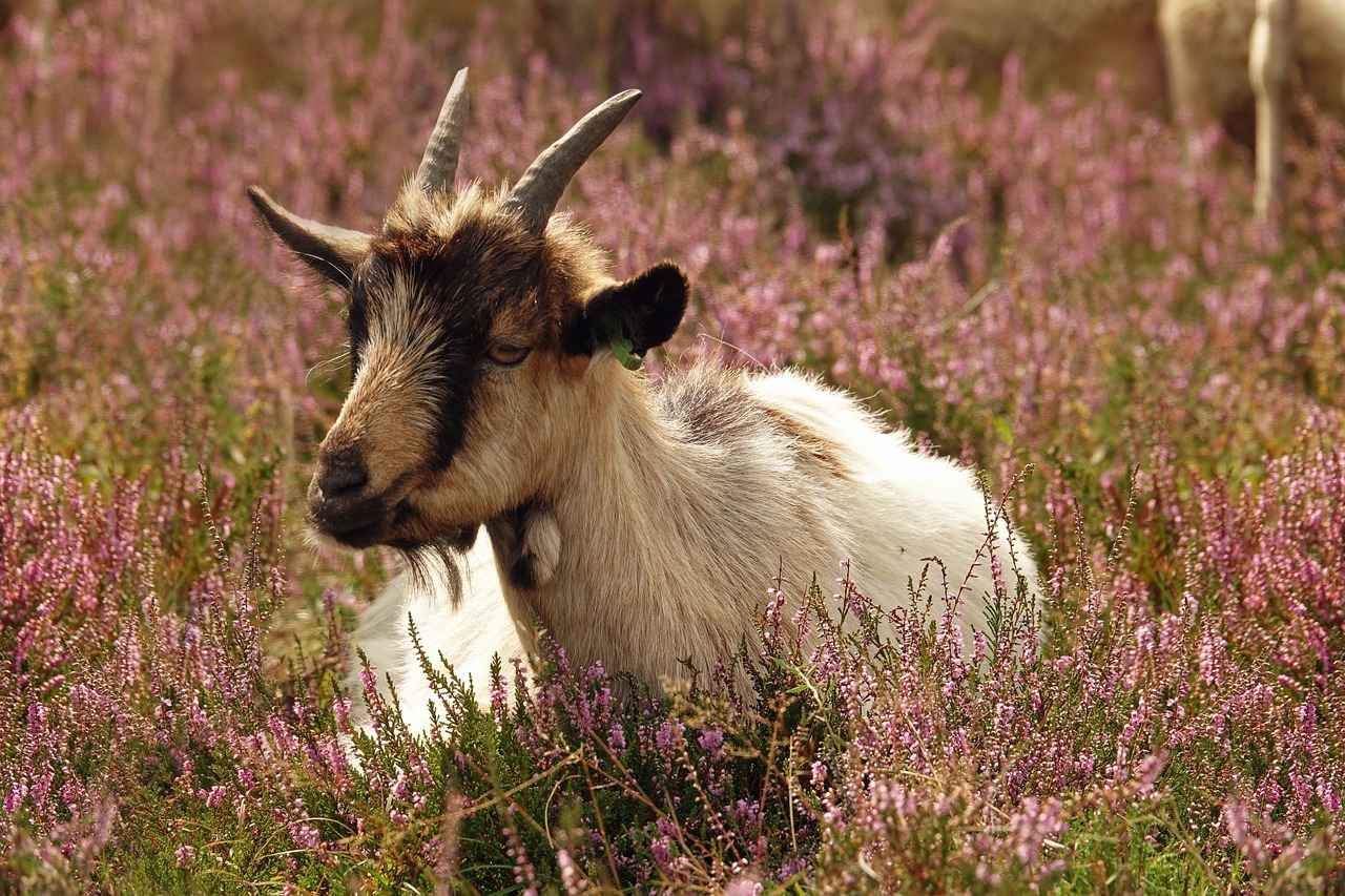 Sonuç: Gümüş Yüzüklerle Kendi Tarzınızı Yaratın