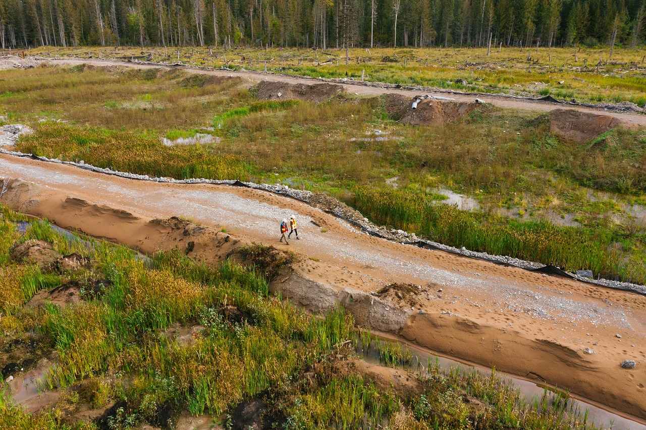 Gümüş Yüzüklerin Anlamı ve Sembolleri
