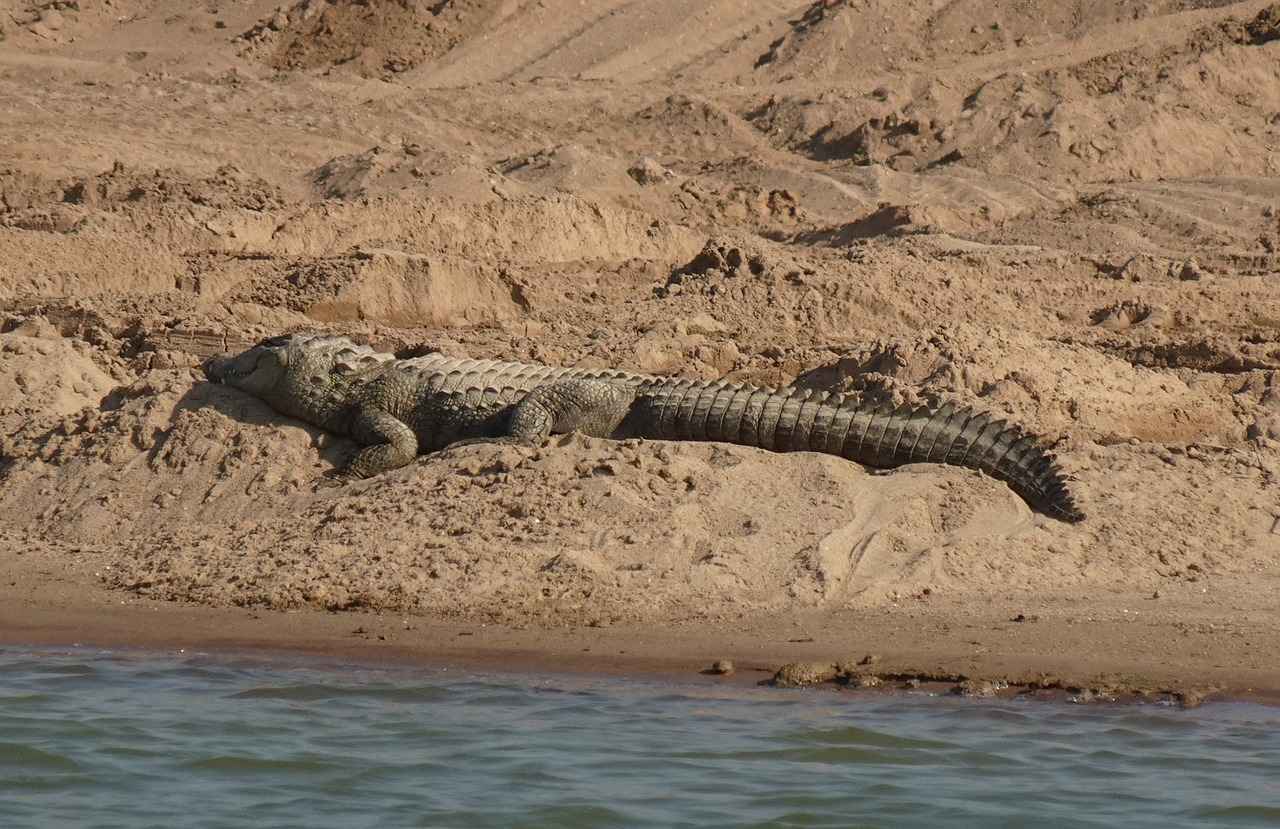 Gümüş Yüzüklerin Günlük Hayattaki Yeri