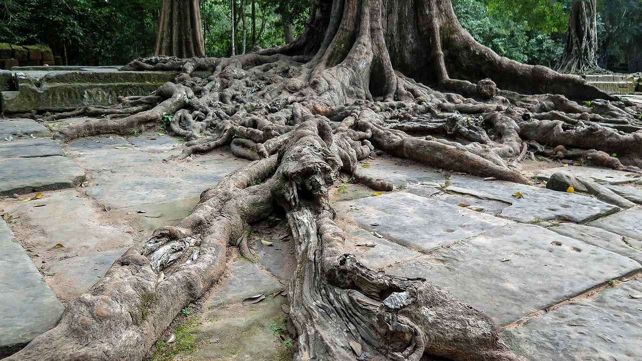 Gümüş Yüzüklerde Kullanılan Popüler Taşlar