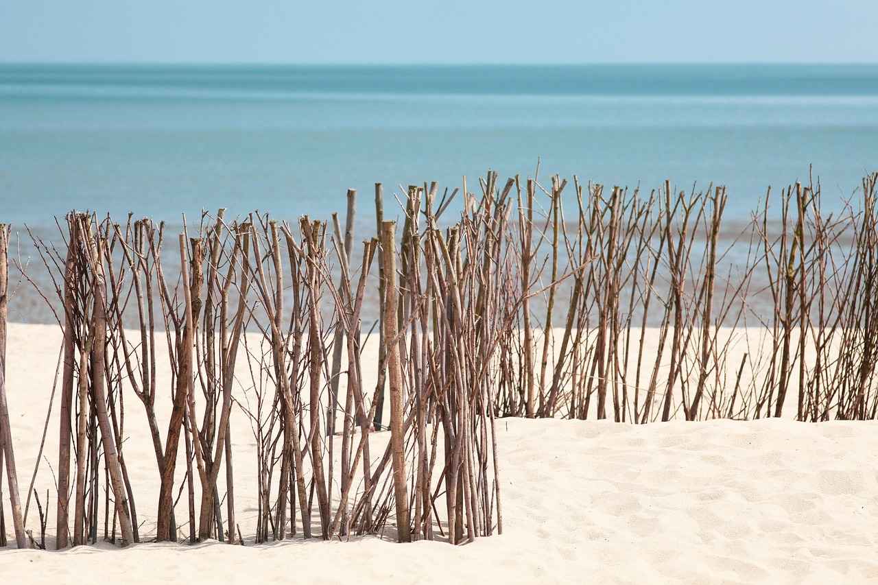 Gümüş Yüzüklerde Minimalist Tasarım Akımları