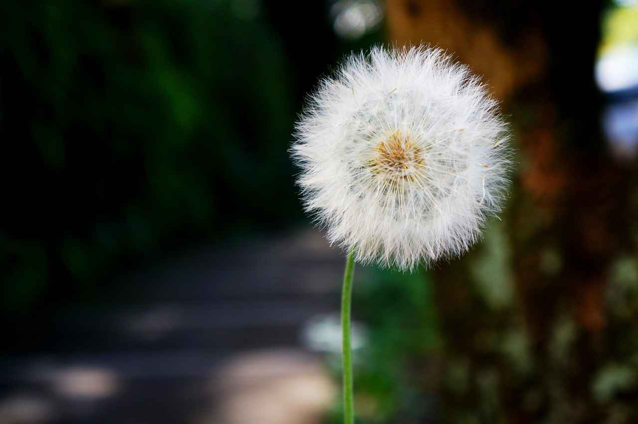 Gümüş Yüzüklerin Bakımı ve Temizliği