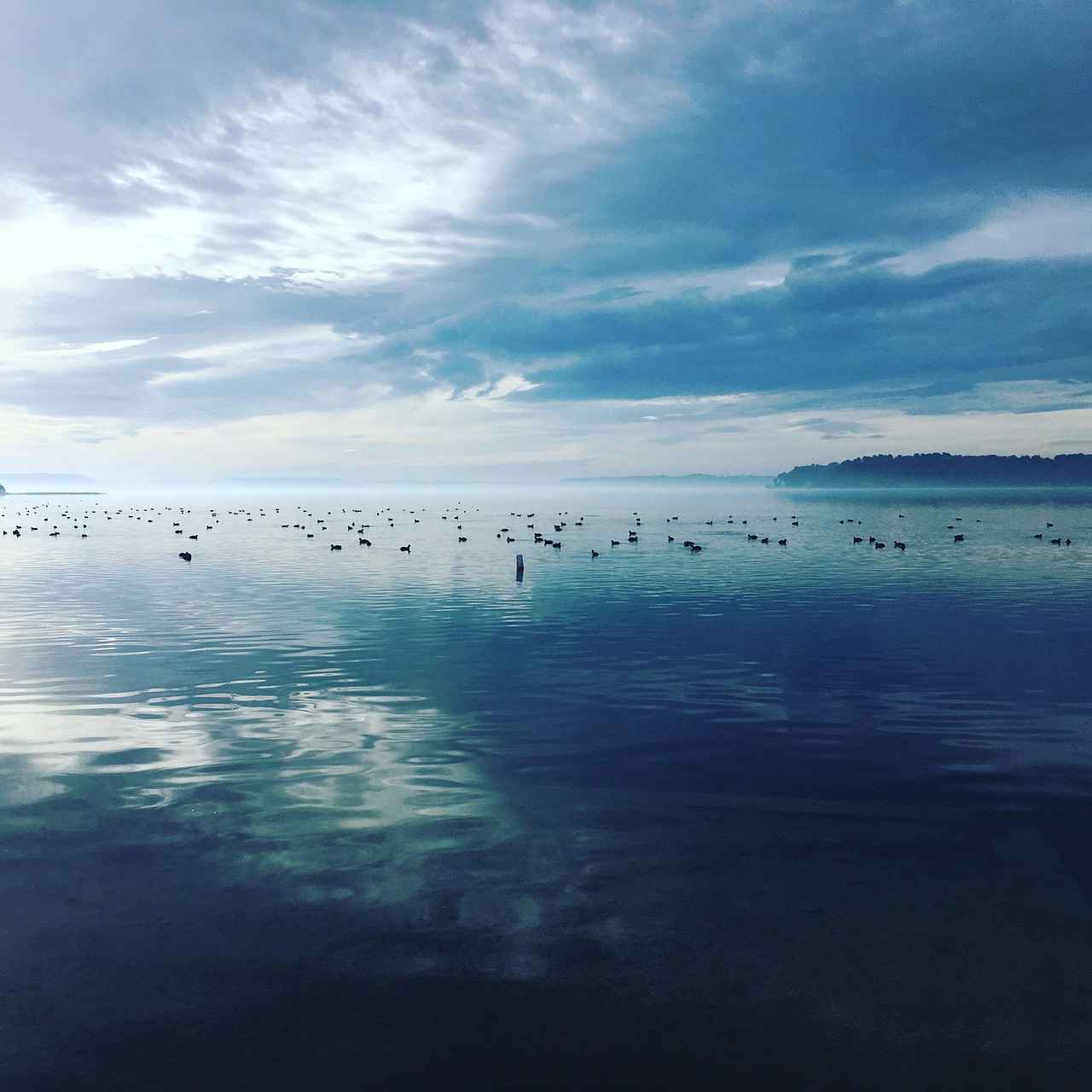 Gümüş Yüzüklerin Eşsiz Tasarımları ile Fark Yaratın