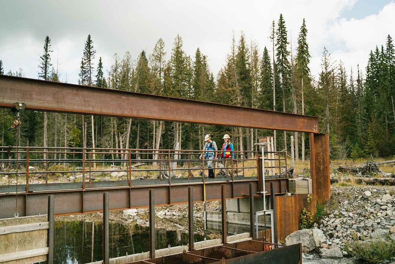 Gümüş Yüzük Bakımı ve Temizliği