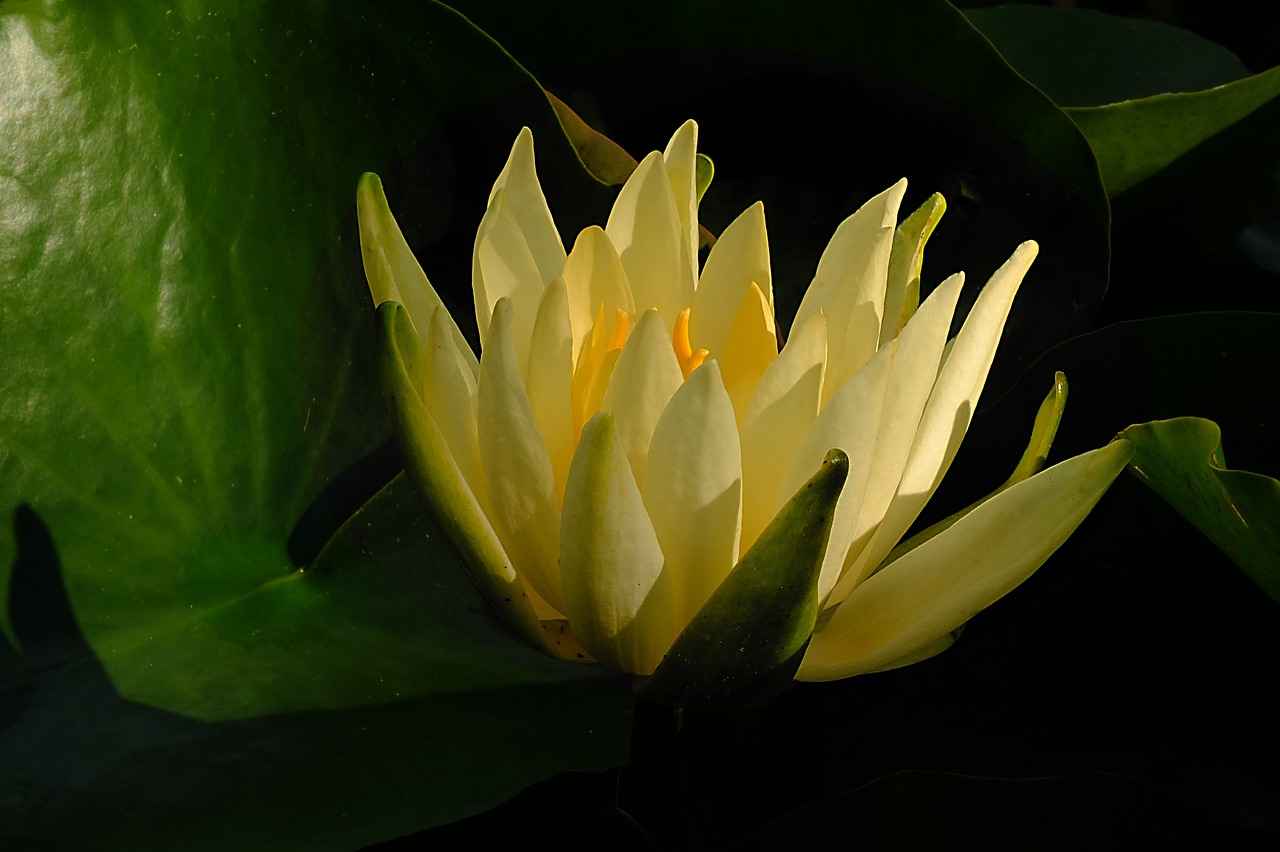 Sonuç: Gümüş Yüzüklerle Hediye Seçimi